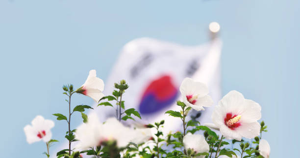광복절의 진짜 의미