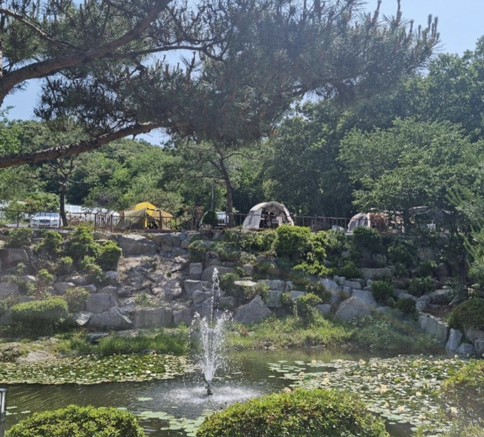 경기-포천-달사랑-캠핑장-사진-입니다.