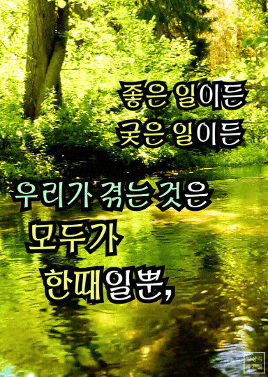 햇살 가득한 숲 속 개울가와 흐르는 물 위로 전해지는 '모든 것은 한때일 뿐'이라는 위로의 메시지