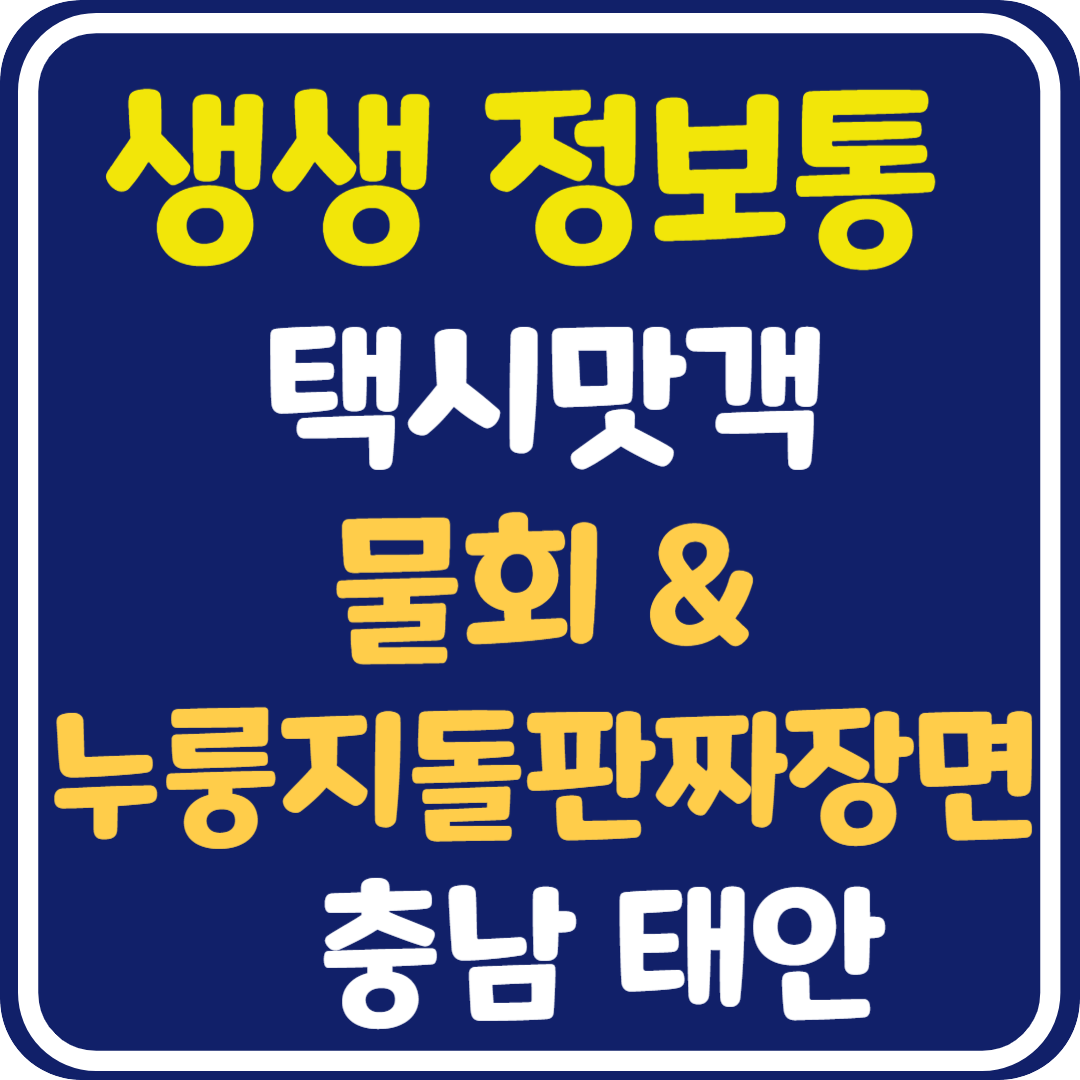 생생 정보통 맛집오늘방송 태안 물회&누룽지돌판짜장면 : 택시맛객