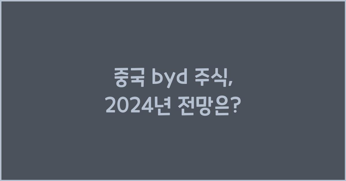 중국 byd 주식