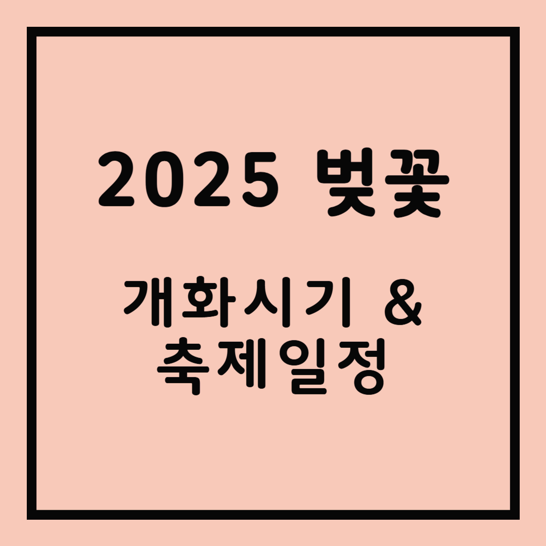 2025 벚꽃 개화시기 / 축제 일정