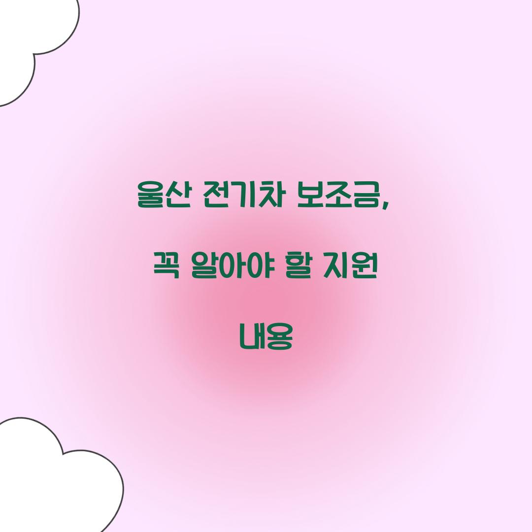 울산 전기차 보조금