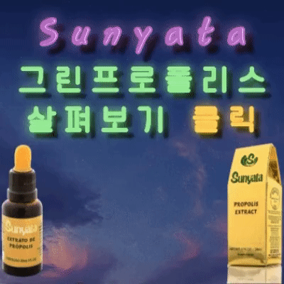 그린 프로폴리스 원액 추천