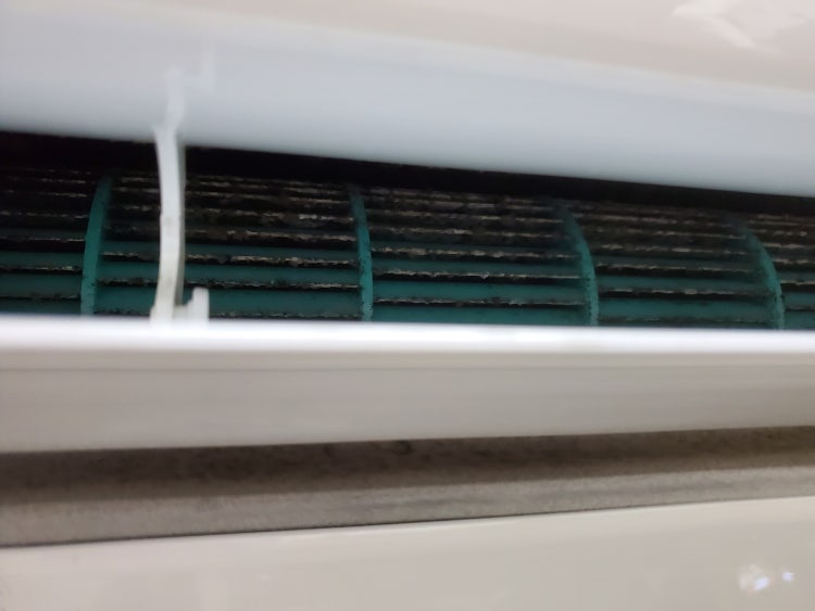 에어컨 먼지 곰팡이 사진