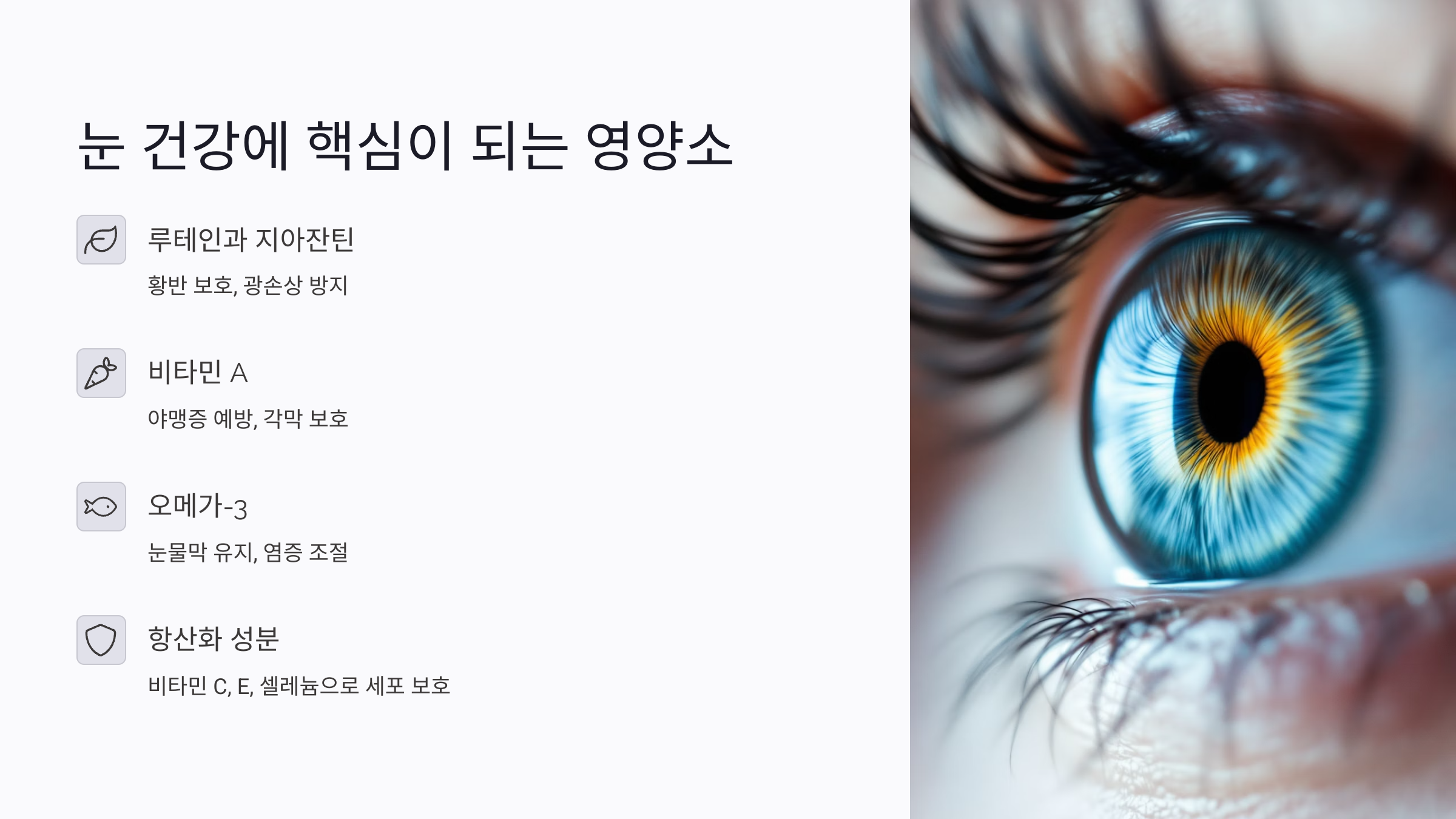 오메가-3는 눈물막 유지와 염증 조절에 효과적이다
등푸른 생선에 풍부한 오메가-3는 눈물막의 질을 개선하고 안구건조증을 완화하는