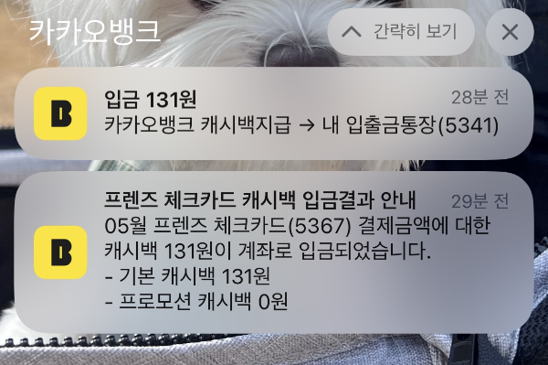 카카오뱅크 체크카드 캐시백 입금알림