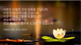 반야심경 깊은 지혜 현대적 의미 정리_19