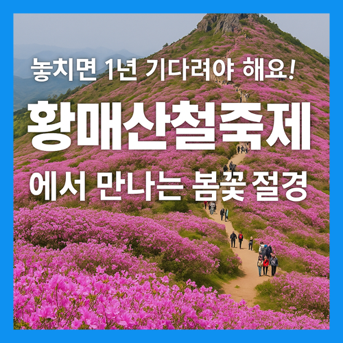 황매산 철쭉축제: 개화시기 실시간 개화현황 주차장 총정리 썸네일