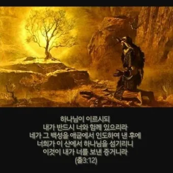불타는 떨기나무 모세 하느님 출애굽기 3장_9