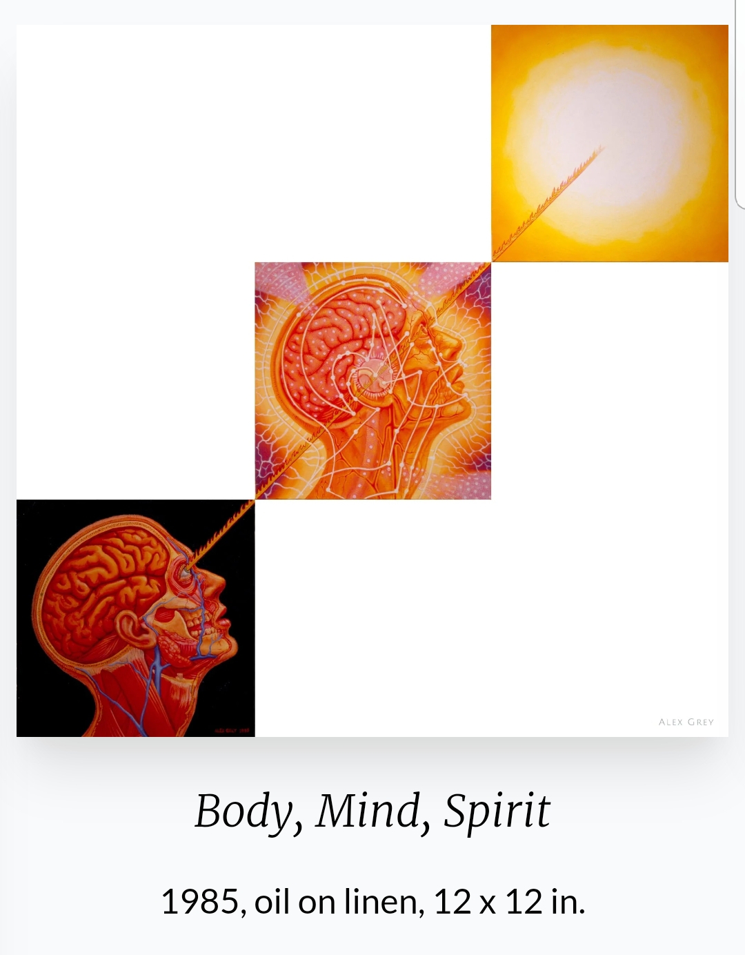 Alex Grey (1953~ ) 작품
'Body, Mind, Spirit'