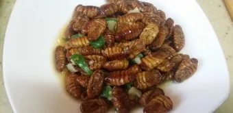 번데기 요리법, 번데기탕, 효능, 볶음, 통조림 요리법, 칼로리, 튀김, 삶는법_34