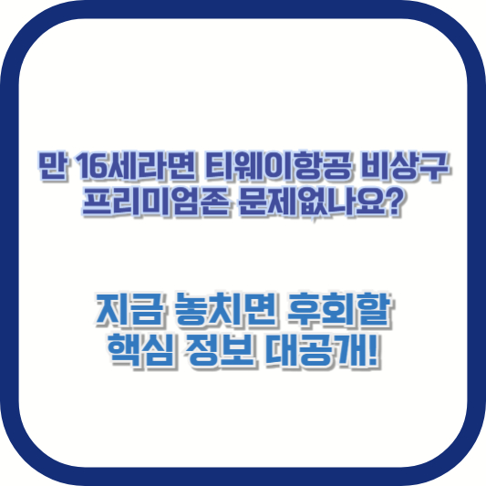 만 16세라면 티웨이항공 비상구 프리미엄존 문제없나요? 지금 놓치면 후회할 핵심 정보 대공개!