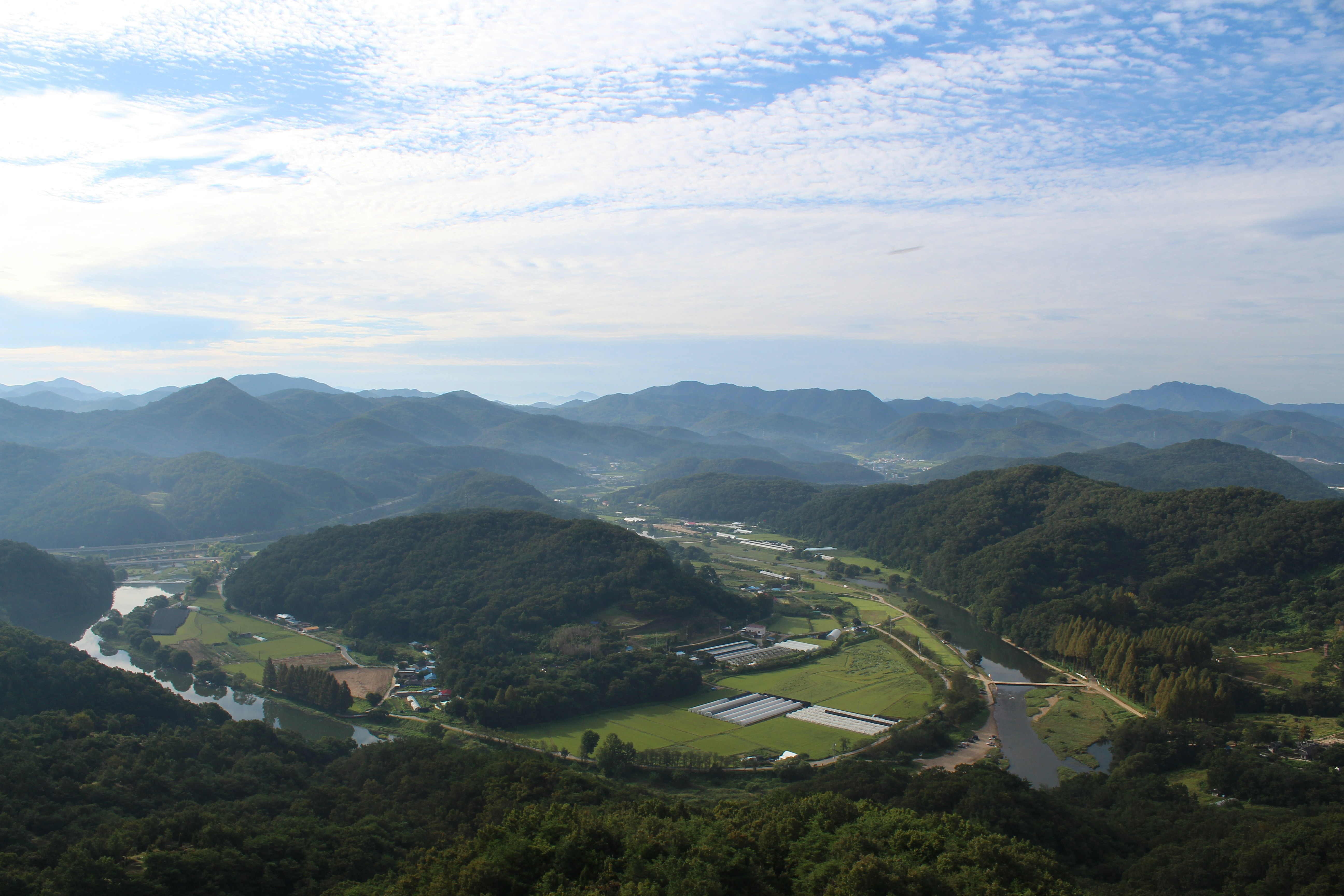 한밭수목원 주차 정리|실제 요금·혼잡 시간·최적 주차 팁