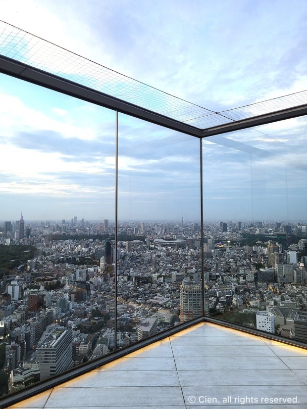 도쿄 여행 추천 BEST 5 : 도쿄 디즈니랜드 놀이기구 추천 TOP 7