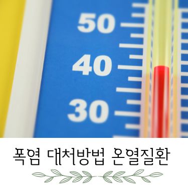 폭염 대처방법 온열질환 증상 예방 응급조치