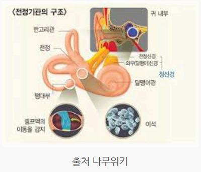 이석증 증상 총정리 어지럼증 원인부터 치료·예방법까지