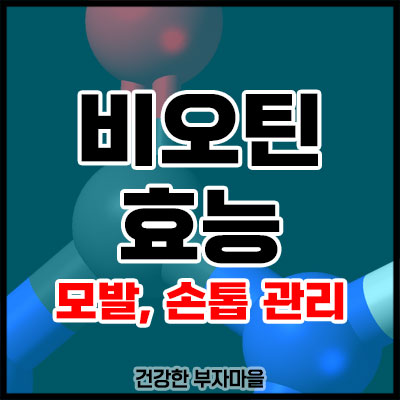 비오틴 효능