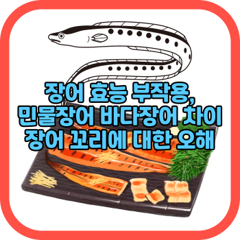 장어 효능 부작용, 민물장어 바다장어 차이 장어 꼬리에 대한 오해