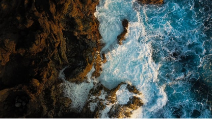 탈모 샴푸1위 탈모 고민 끝! 로게인폼 효과와 후기 집중분석