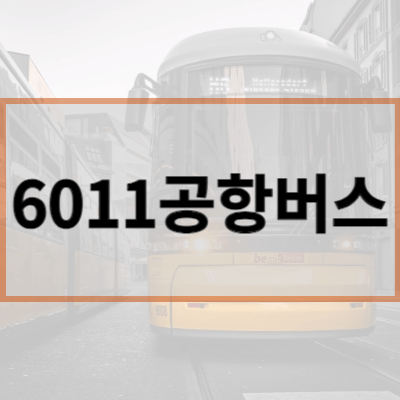 6011공항버스
