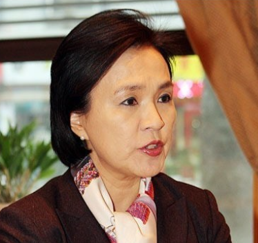 강금실 법조 경력