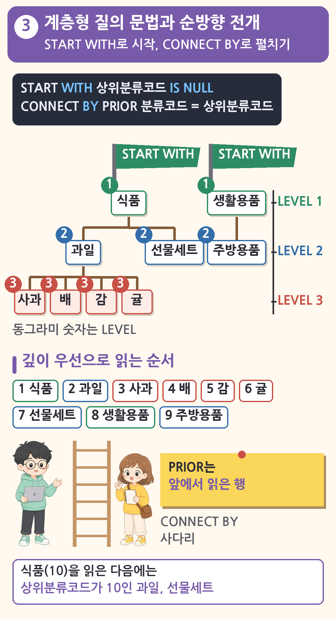 계층형 질의 순방향 전개. START WITH로 식품과 생활용품을 루트로 고르고 CONNECT BY PRIOR 분류코드 = 상위분류코드로 깊이 우선 9행을 펼침, 식품 LEVEL 1, 과일 LEVEL 2, 사과 LEVEL 3