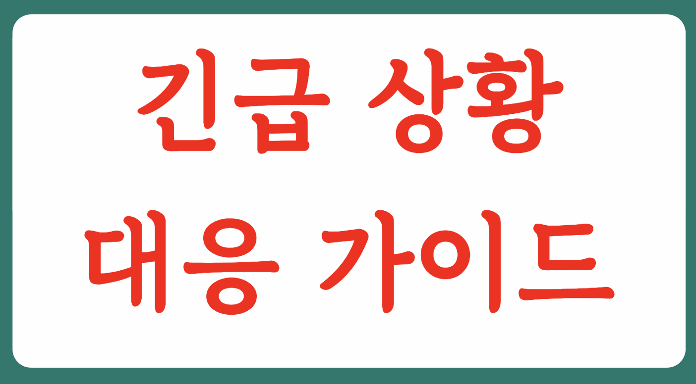 스노우 체인 장착 및 제거 운전 방법(+2023)