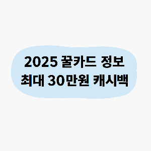 2025 신용카드 추천