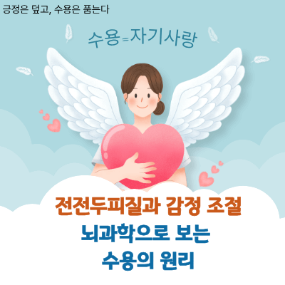 전전두피질과 감정 조절｜뇌과학으로 보는 수용의 원리