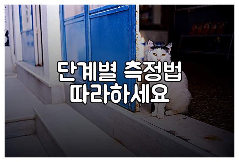 단계별 측정법 따라하세요