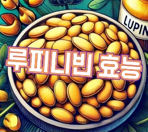 루피니빈-루핀콩-효능