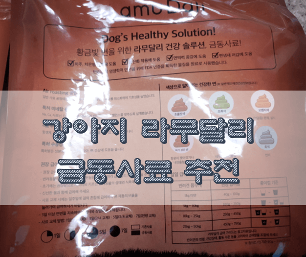 강아지-사료-사진-썸내일