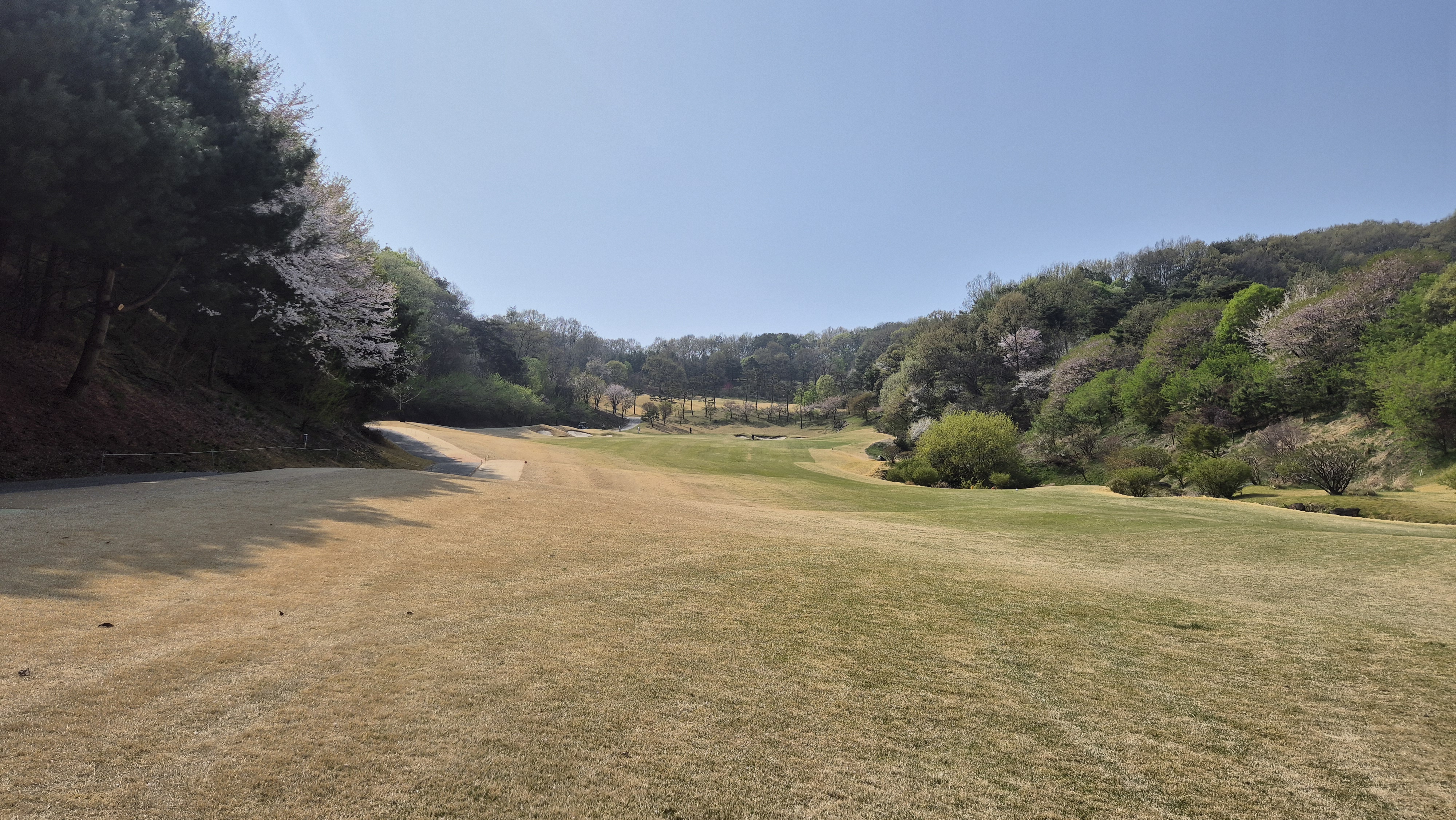 진양밸리 크리크-밸리 코스 사진 및 공략 정보