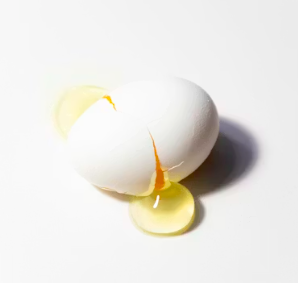 알부민의 효능