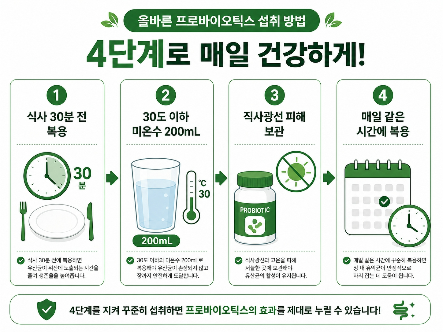 유산균 복용법 4단계 올바른 섭취법 인포그래픽
