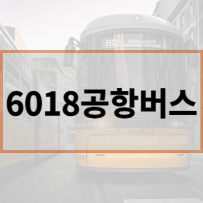 6018공항버스