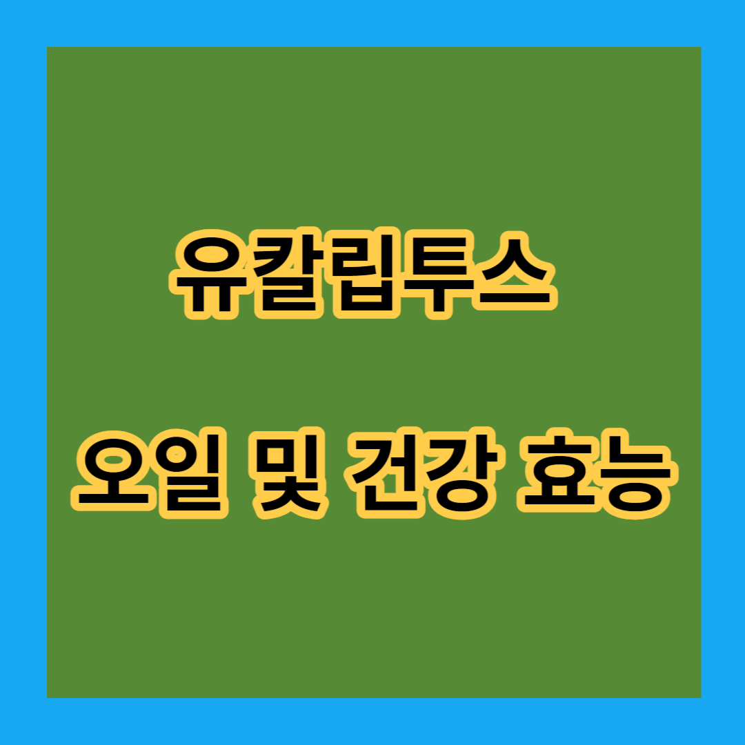 유칼립투스 오일 및 건강 효능