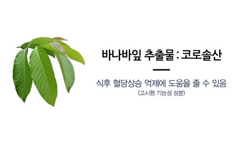 바나바잎추출물_코로솔산