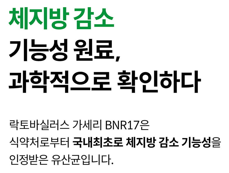 BNR17 유산균