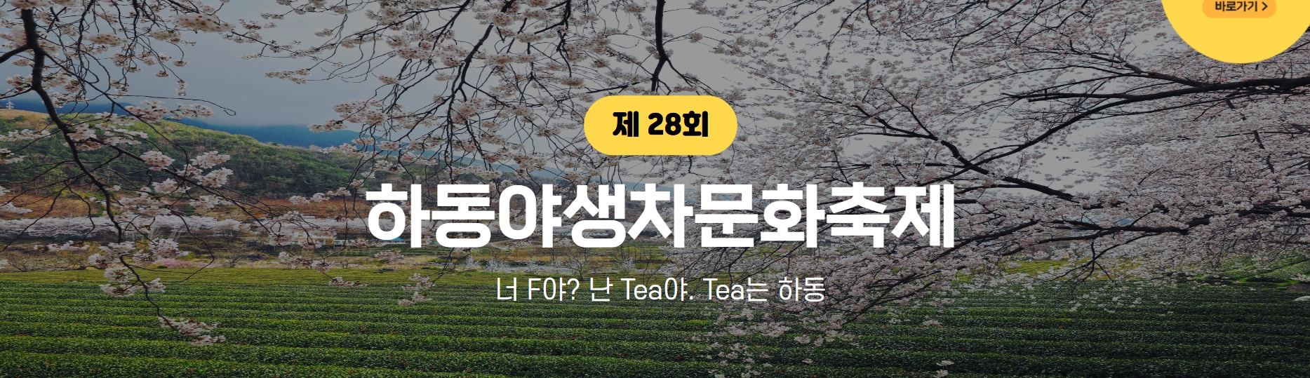 [5월 축제]2025 하동야생차문화축제❘기간, 일정, 체험 프로그램, 공연 정리