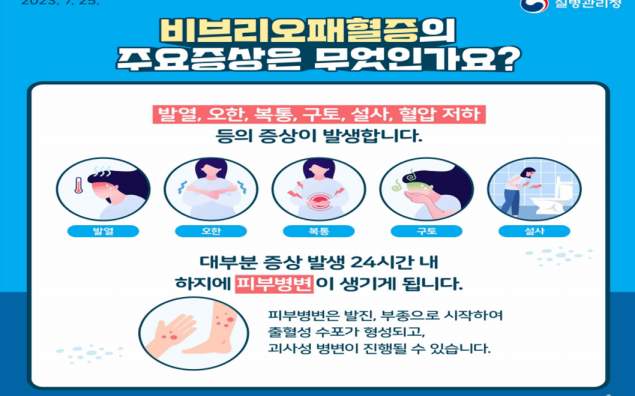 비브리오패혈증-증상