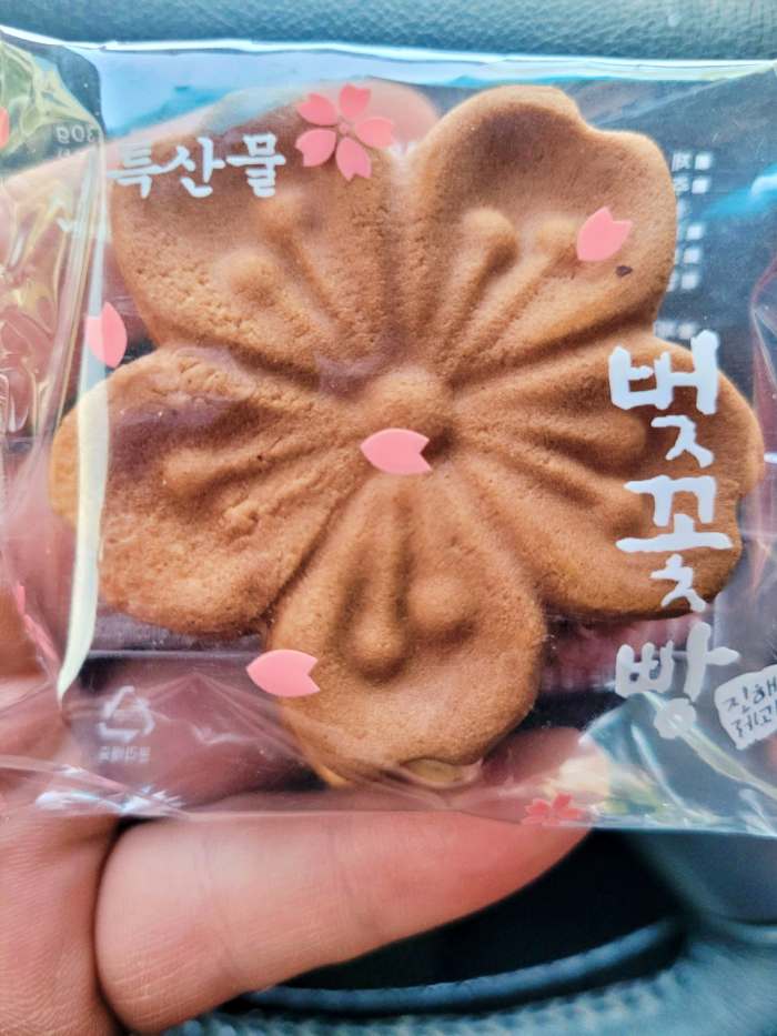 생생정보 창원 진해 벚꽃 구경과 함께 즐기는 디저트 벚꽃빵 맛집