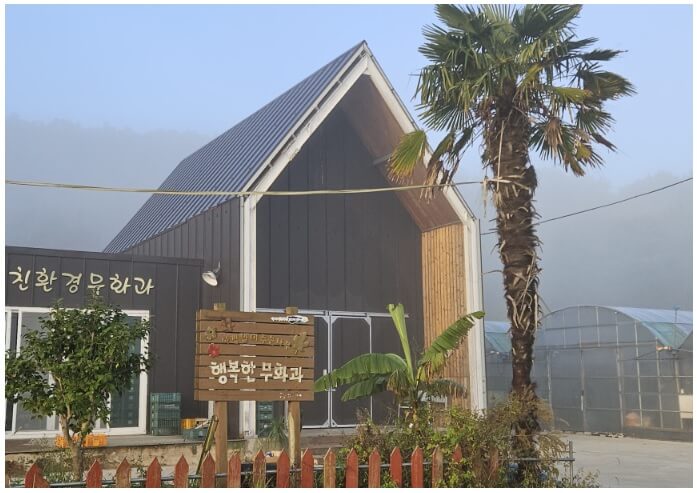 생생정보 2350회 수확의 달인 톡톡 터지는 매력 무화과 행복한 무화과 주문하기