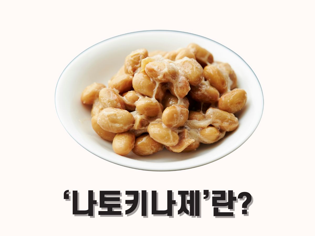 나토키나제