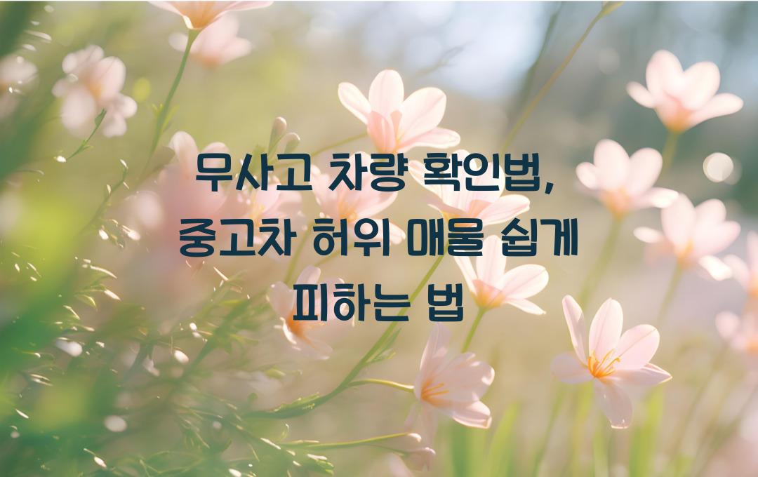 무사고 차량 확인법: 중고차 허위 매물 피하는 법
