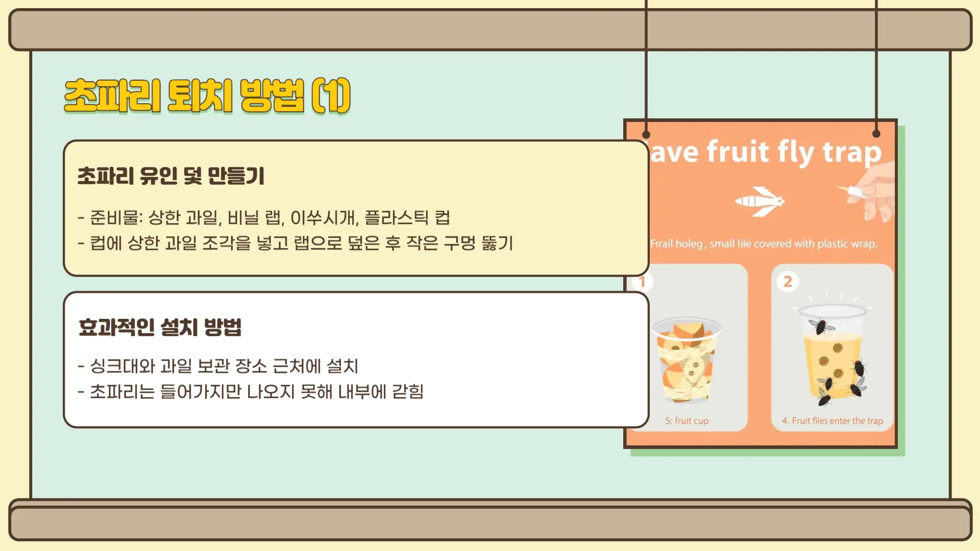 초파리 없애는 방법2