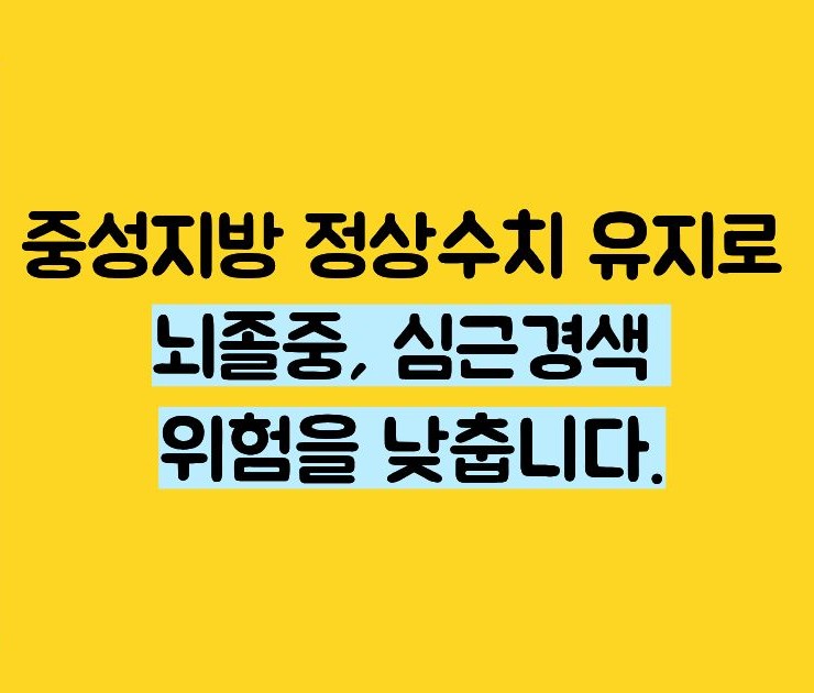 중성지방 정상수치