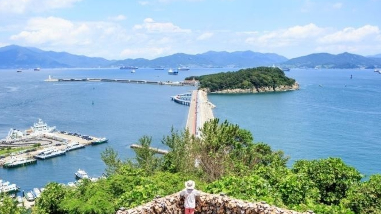 여수 오동도 이미지