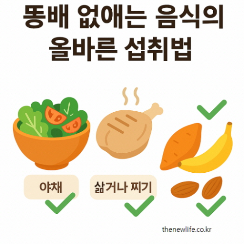 A flat-style digital illustration showing healthy food intake methods for reducing belly fat. The image includes a bowl of fresh vegetables, steamed chicken, sweet potatoes, a banana, and almonds, each marked with a green check to indicate recommended consumption. Korean text says: “똥배 없애는 음식의 올바른 섭취법.”/똥배를 없애기 위한 올바른 음식 섭취 방법을 나타낸 일러스트. 생야채, 삶은 닭고기, 고구마, 바나나, 아몬드가 초록색 체크와 함께 표시되어 있음.
